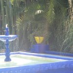 null | Photo taken by Wayne P