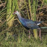 Photo taken by Graham D