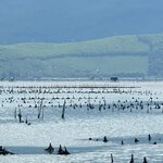 Photo taken by Kelly D