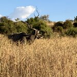 Photo taken by rhonda c