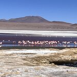 Photo taken by Shirley S