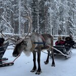 Photo taken by Ellyn V