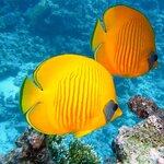 Photo taken by Judy H