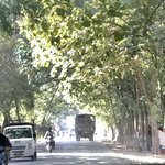 Photo taken by shelly s