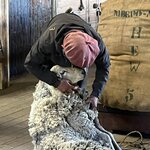 Photo taken by Gillian O