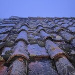 Photo taken by Abby S