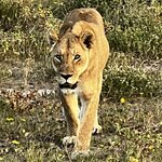 Photo taken by Peter L