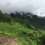 Photo taken by Joanna K