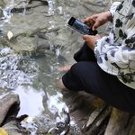 Photo taken by Janice D