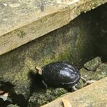 Photo taken by Sabiha K