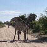 Photo taken by rhonda c