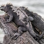 Photo taken by mindy n