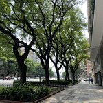 Photo taken by Lisa K