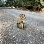 Photo taken by Mark L