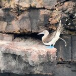 Photo taken by Ben S