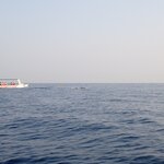 Photo taken by Dixie W