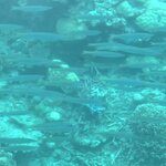 Photo taken by Hari R