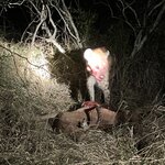 Photo taken by rhonda c