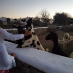 Photo taken by Patricia K