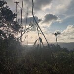 Photo taken by Brett F