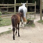 Photo taken by Kevin S