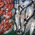 Photo taken by Iain M