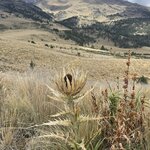 Photo taken by Priya R