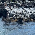 Photo taken by Stephanie A