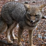 Photo taken by Mariellen S