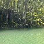 Photo taken by Shaula L