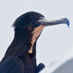 Photo taken by Joseph P