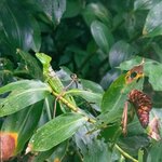 Photo taken by Holly B