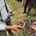 Photo taken by Yuri L