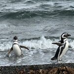 Photo taken by Yelena L