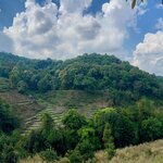 Photo taken by Aaron H