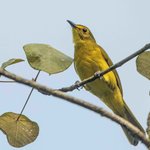 Photo taken by Graham D