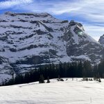 Photo taken by Lisa H