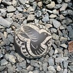 Photo taken by Tracie D