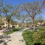 Photo taken by Jacqueline W