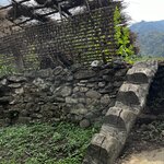 Photo taken by yancey A