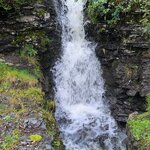 Photo taken by Tamara N