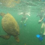 Photo taken by Barry T