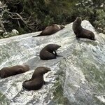 Photo taken by susan s