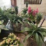 Photo taken by Queenie C