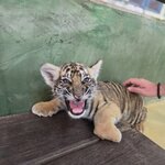 Photo taken by Beatrix K