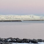 Photo taken by Paula M