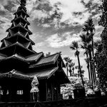 Photo taken by Terrence Y