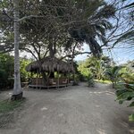 Photo taken by Kevin S