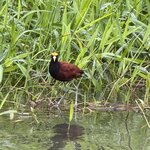 Photo taken by Julie S