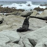 Photo taken by Lisa S